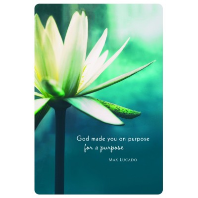 Card Birthday