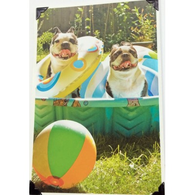 Card Birthday Humour