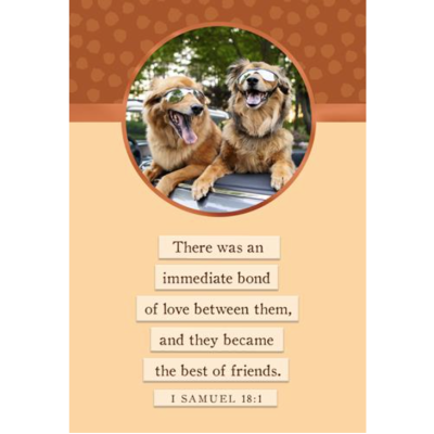 Card Friendship