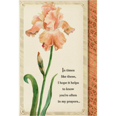 Card Encouragement