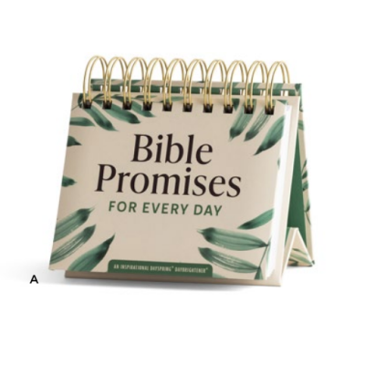 Daybrightener Bible Promises for Every Day